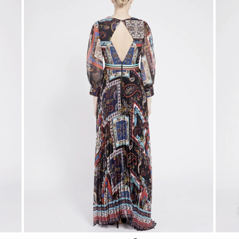 Alice and Olivia Cheney Maxi Dress - Picture 4 of 10